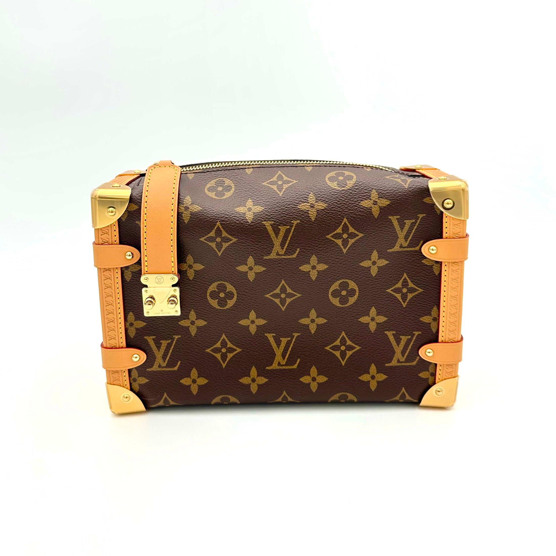Louis Vuitton LV Side trunk PM Brown Craiova •